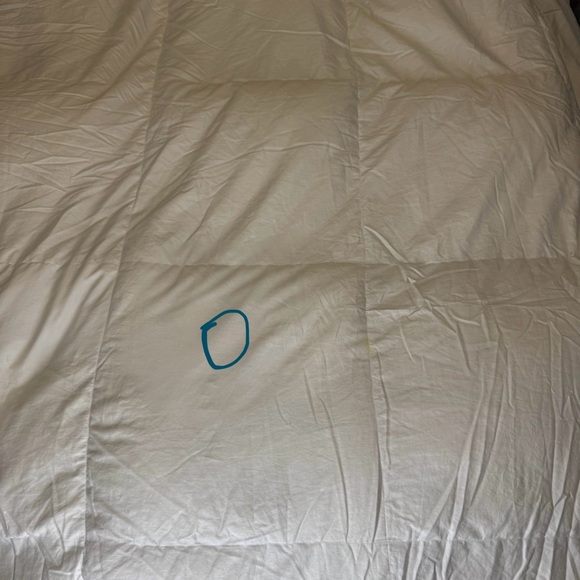 [Price Reduced] Blue bridge 75% down comforter (Queen size) $200 off！！ - Picture 8 of 8